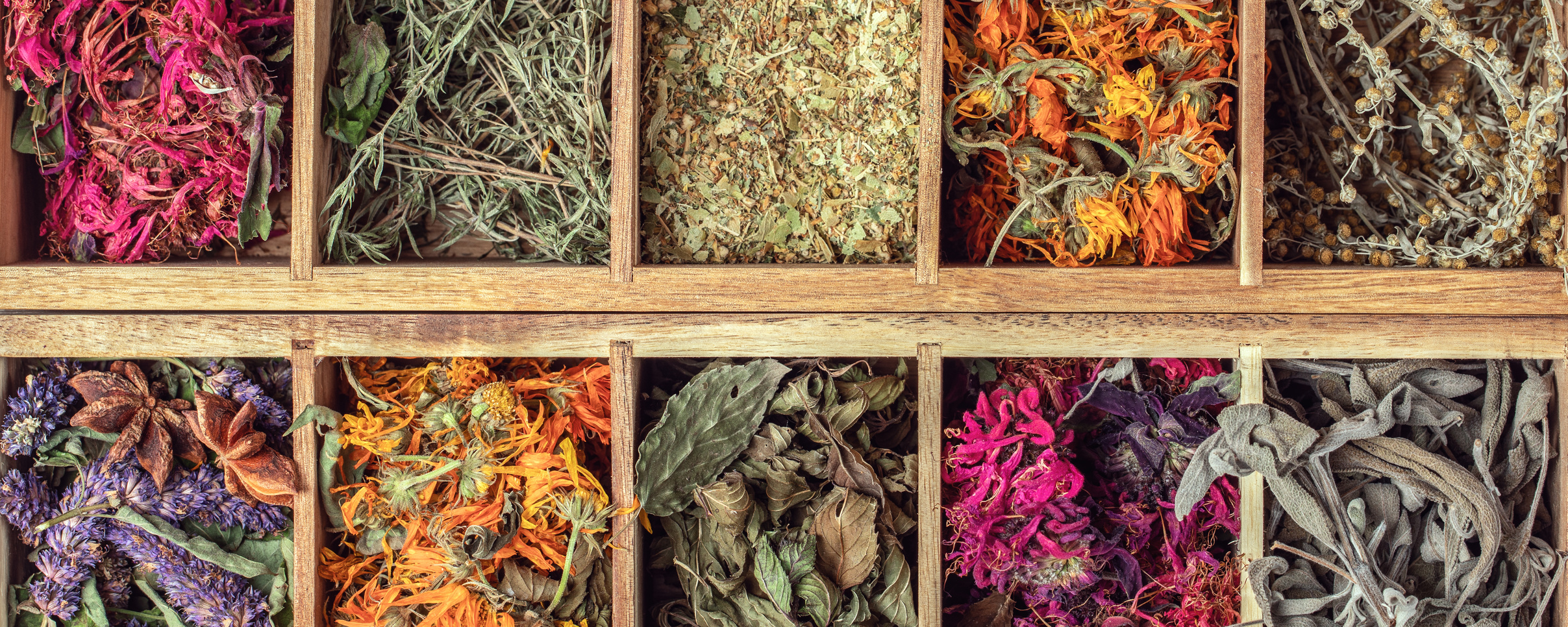 Assortment of Dried Tea Herbs in Wooden Boxes